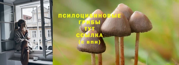 ПСИЛОЦИБИНОВЫЕ ГРИБЫ Нефтегорск