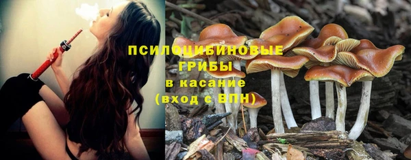 круглые Нефтекумск