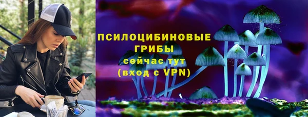 гашик Нея